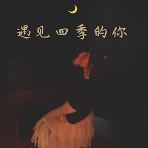 遇见四季的你