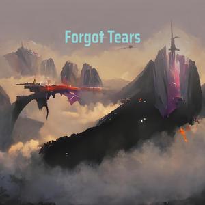 Forgot Tears