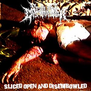 Sliced open and disembowled (Explicit)