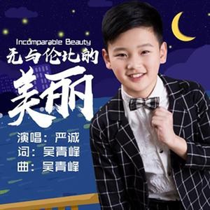 无与伦比的美丽