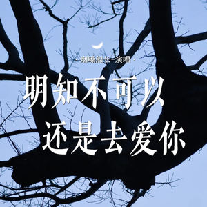 烟嗓船长 - 明知不可以还是去爱你