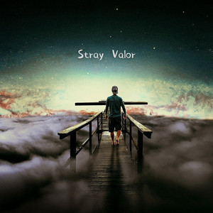 Stray Valor