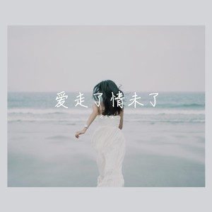爱走了情未了