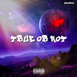 TRUE OR NOT (Explicit)