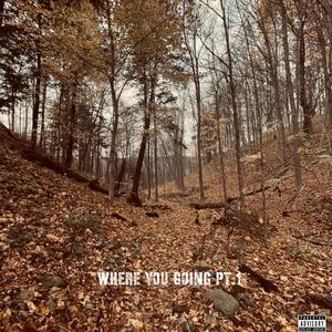 where you going Pt. 1 (Explicit)