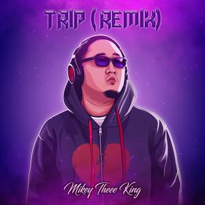 Trip (Remix) [Explicit]