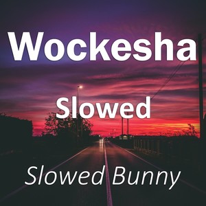 Wockesha Slowed (Remix|Explicit)