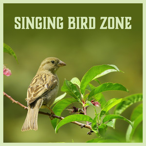 Singing Bird Zone – Sounds of Nature, Delicate Music, Peaceful and Calmness, Relaxations and Mindfulness