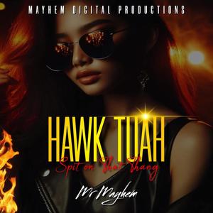 HAWK TUAH (feat. Mr Mayhem)