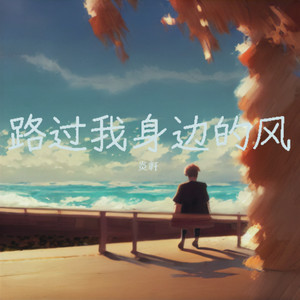 路过我身边的风封面