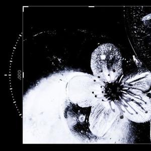 9300 Freestyle (Explicit)