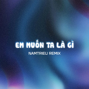 Em Muốn Ta Là Gì (NamTrieu Remix)