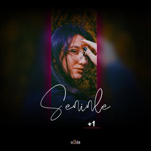 Eksik (feat. Ayşe Ceyda Ülküdür)