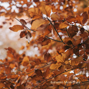 Autumn Memories