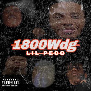 1800Wdg (Explicit)