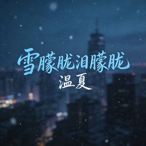 雪朦胧泪朦胧