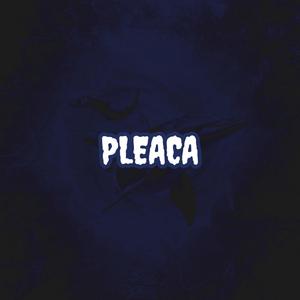 PLEACA (Explicit)