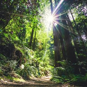 走啊走 停啊停 15.意想不到的团圆