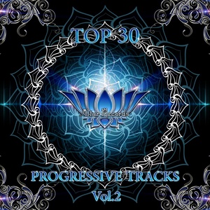 Top 30 Progressive Tracks Vol​.​2