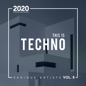 This Is Techno, Vol. 8