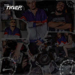 Tiger (Explicit)