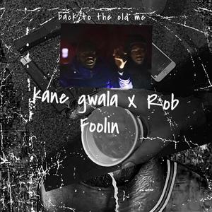 Back To The Old Me Freestyle (feat. Rob Foolin) (Explicit)