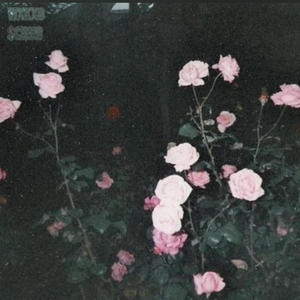 Flowerz (feat. $crubOnTheHill) (Explicit)