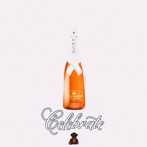 Infamous Notorious(feat. Don Infamous) (Explicit)