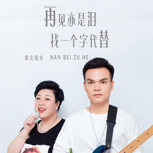 再见亦是泪找一个字代替