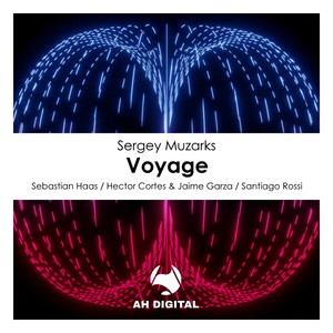 Voyage (Sebastian Haas Remix)