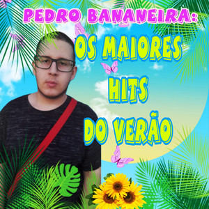 Os Maiores Hits do Verão