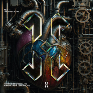 Sunshine Trouble (Original Mix)