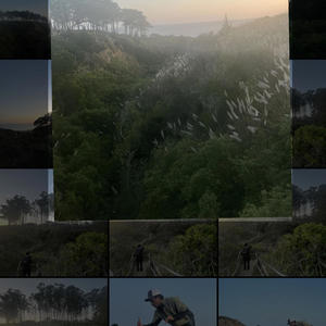 win! (fast) (Explicit)