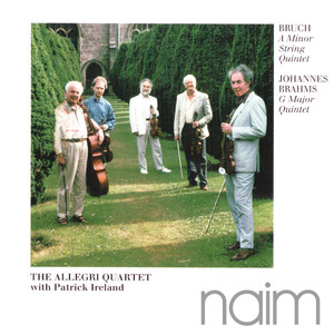 A Minor String Quintet - II. Allegro molto (A小调弦乐五重奏 - 第二乐章 很快的快板)