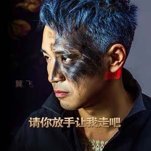 请你放手让我走吧