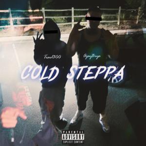 Cold Steppa (feat. Ajaybiya) (Explicit)