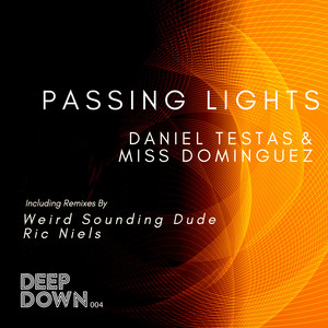 Passing Lights (Ric Niels Remix)