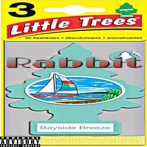 Bayside Breeze (Explicit)