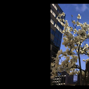 Hating Me (Explicit)