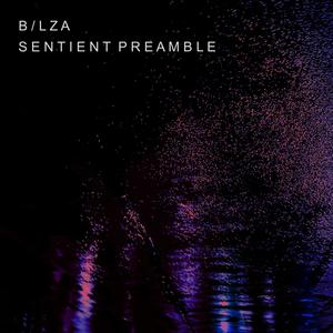 Sentient Preamble