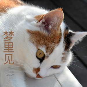 梦里见 - 洛小菲 - qq音乐-千万正版音乐海量无损