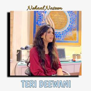 Teri Deewani