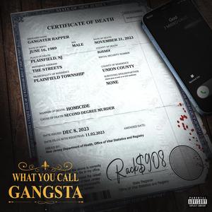 What you call gangsta ? (Explicit)