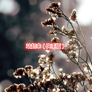 刘丁芸 - 大城小爱