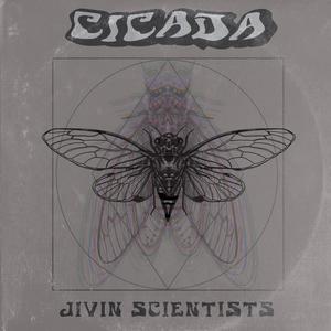 Cicada (Explicit)