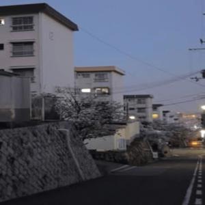 to my head (Explicit)