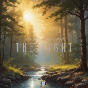 THE LIGHT (official audio)