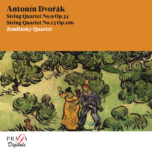 String Quartet No. 9 in D Minor, Op. 34, B. 75 - String Quartet No. 9 in D Minor, Op. 34, B. 75: I. Allegro - Più mosso