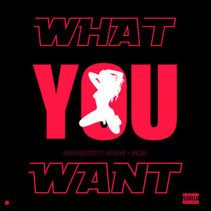 What You Want (Explicit)