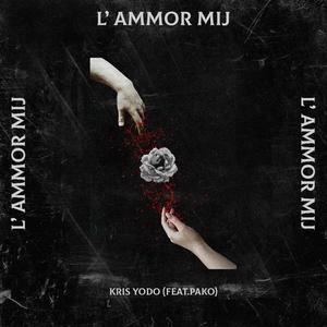 L' Ammor Mij (feat. Pako) [Explicit]